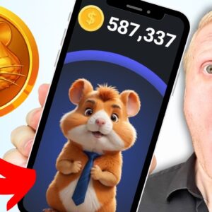 Hamster Kombat Review 2024: How to Withdraw Money from Hamster Kombat?