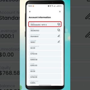 How to Connect XM to MetaTrader 5